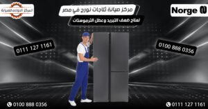 مركز صيانة ثلاجات نورج Norge في مصر لعلاج ضعف التبريد والأعطال