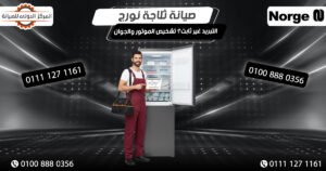 صيانة ثلاجة نورج | التبريد غير ثابت؟ تشخيص الموتور والجوان